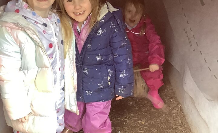 Image of Sunflowers UOW - Forest School